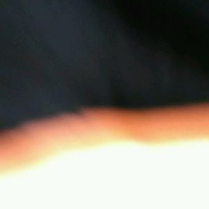 Meet your Posher, Donovan